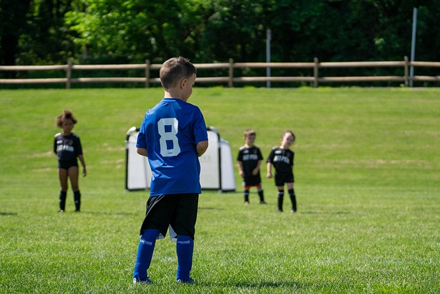 的几位年轻 的几位年轻