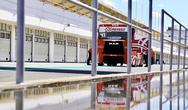 迎来胜利的 迎来胜利的