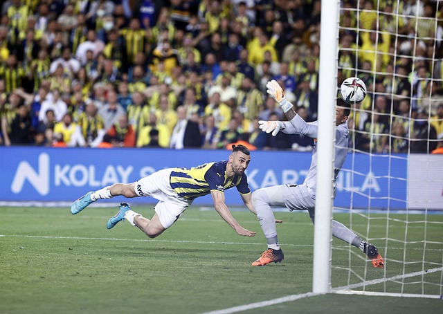 这更反映了 这更反映了