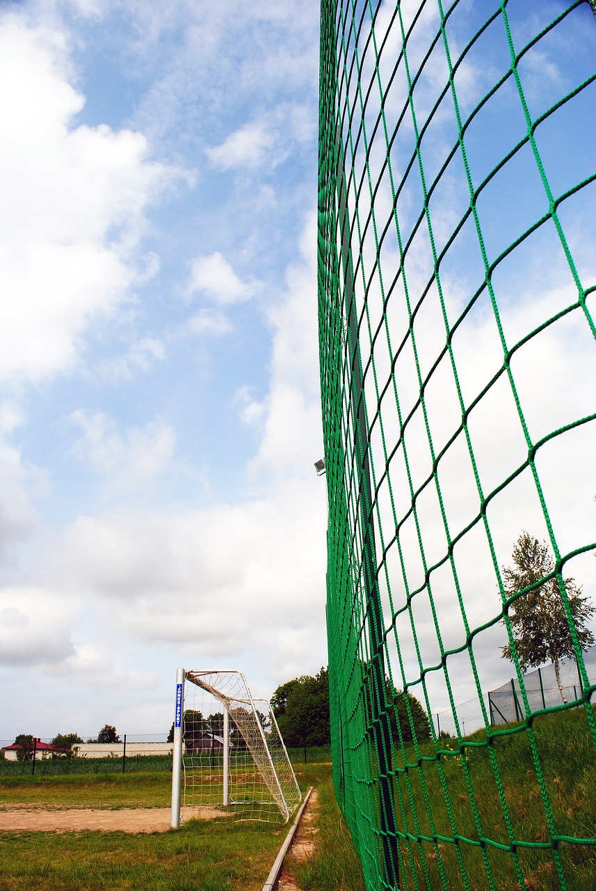 坚持不懈与 坚持不懈与