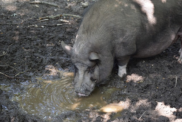 心理带来新 心理带来新