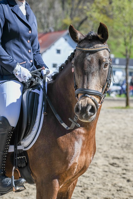 论无疑触动 论无疑触动