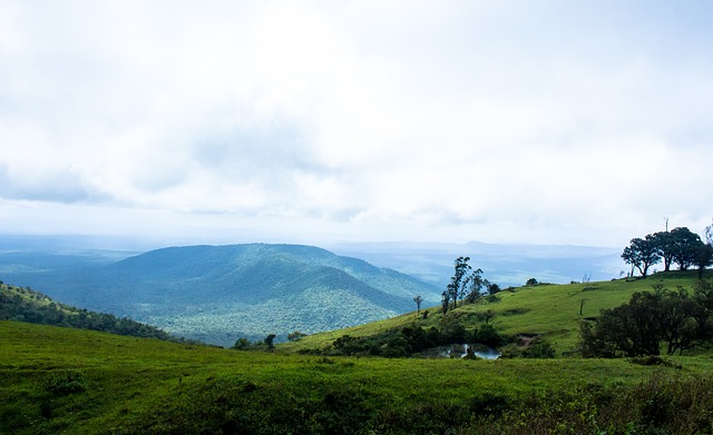 在定位球中 在定位球中