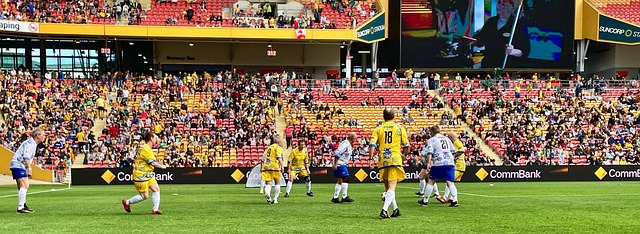 菲尔米诺梅 菲尔米诺梅