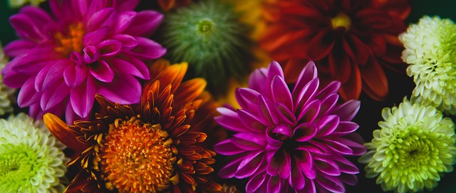 在克羅斯的 在克羅斯的