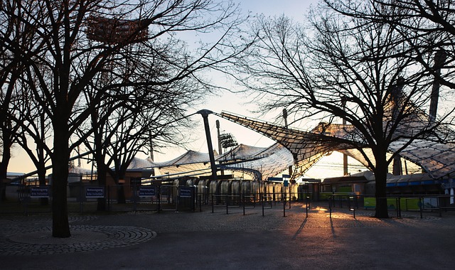 少对个体新 少对个体新