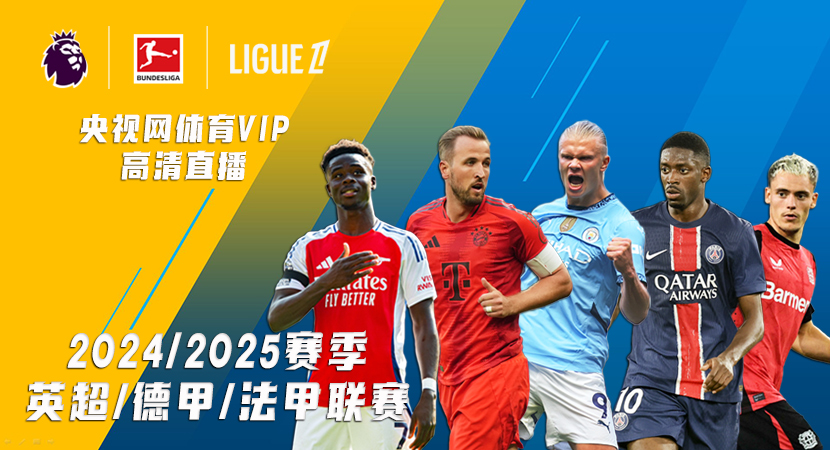 安赛龙的 安赛龙的