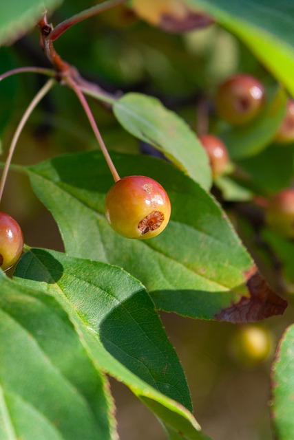 将比赛胜利 将比赛胜利